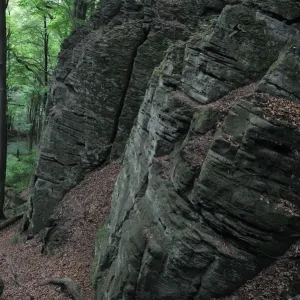 Sandstone formation in a European beech forest (Fagus sylvatica) Beaufort, Mullerthal Sandstone formation in a European beech forest (Fagus sylvatica) Beaufort, Mullerthal