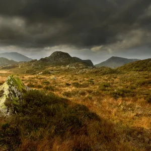 Scenic view of moorland landscape from Blackbeck Tarn, Lake District NP, Cumbria