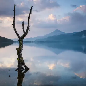 Schiehallion reflected in Loch Rannoch at dawn, Perthshire, Scotland, UK May 2017 Schiehallion reflected in Loch Rannoch at dawn, Perthshire, Scotland, UK May 2017