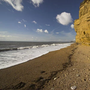 Sea Cliffs and beach at Burton Bradstock, Dorset. Jurassic Coast World Heritage Site