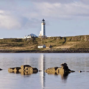 Seal (Phoca vitulina) on rock at Seal Shore Campsite, with Pladda Lighthouse beyond