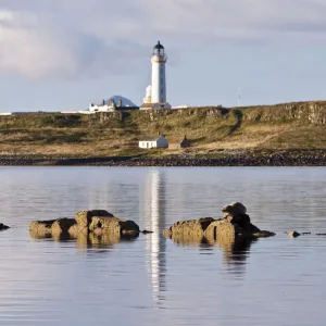 Seal (Phoca vitulina) on rock at Seal Shore Campsite, with Pladda Lighthouse beyond