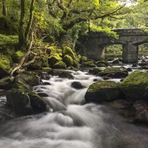 Shaugh Prior, bridge and River Plym, Dartmoor National Park, Devon, UK. September 2016