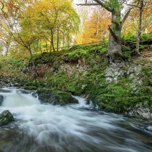 Shimna River Tollymore Forest, Shimna River Tollymore Forest Newcastle Shimna River Tollymore Forest, Shimna River Tollymore Forest Newcastle