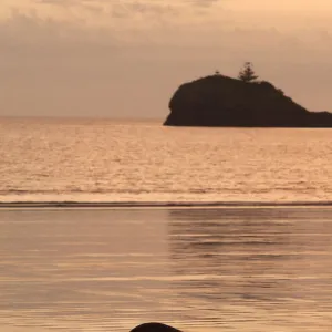 Silhouette of an Agile wallaby (Macropus agilis) hopping along the beach at dusk