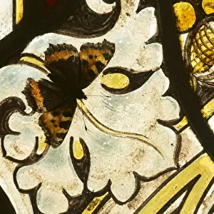 Small tortoishell butterfly (Aglais urticae) on a stained glass window of church