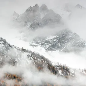 Snow-covered mountain print with larch trees in autumnal landscape