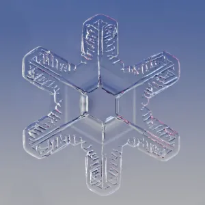 Snowflake magnified under microscope, Lilehammer, Norway Snowflake magnified under microscope, Lilehammer, Norway