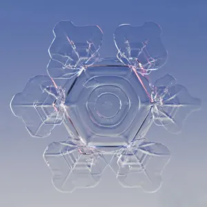 Snowflake magnified under microscope, Lilehammer, Norway Snowflake magnified under microscope, Lilehammer, Norway