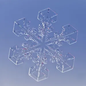 Snowflake magnified under microscope, Lilehammer, Norway Snowflake magnified under microscope, Lilehammer, Norway