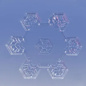 Snowflake magnified under microscope, Lilehammer, Norway Snowflake magnified under microscope, Lilehammer, Norway