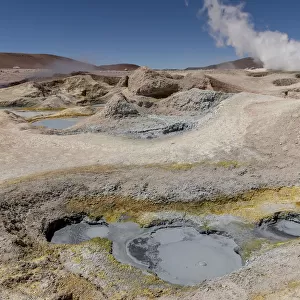 Sol de Manana geyser bassin, Reserva Eduardo Avaroa, Altiplano, Bolivia