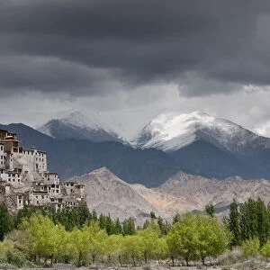 Spituk Gompa seen from the left bank of the Indus river, Leh region, Ladakh, India
