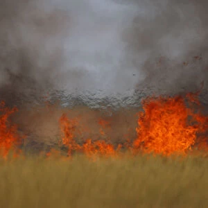 Steppe fields on fire, Bagerova Steppe, Kerch Peninsula, Crimea, Ukraine, July 2009
