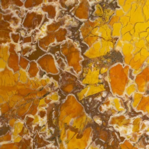 Stone canyon jasper formed with cryptocrystalline quartz, California, USA