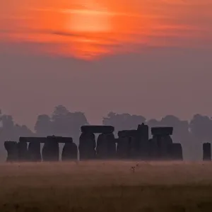 UK Wildlife September