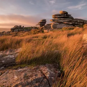 Stowe's Hill bathed in late evening light, Minions, Bodmin Moor, Cornwall, UK. September 2017 Stowe's Hill bathed in late evening light, Minions, Bodmin Moor, Cornwall, UK. September 2017