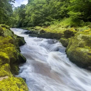The Strid, River Wharfe, slow shutter speed showing movement of the water, Bolton Abbey Estate The Strid, River Wharfe, slow shutter speed showing movement of the water, Bolton Abbey Estate