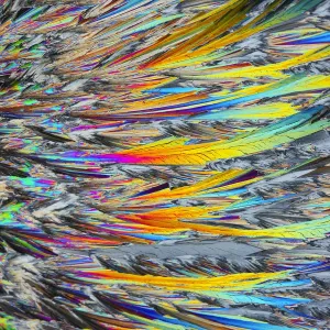 Les cristaux de sucre vus sous lumière polarisée. Les cristaux de sucre vus sous lumière polarisée.
