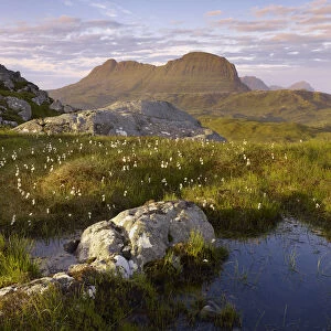 Suilven in early morning light, Coigach / Assynt SWT, Sutherland, Highlands, Scotland