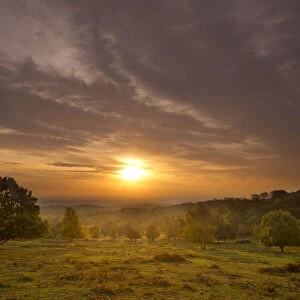Sun rising over hillside with trees, Beacon Hill Country Park, The National Forest