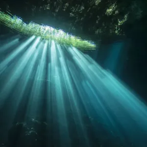 Sunrays in Cenote Jardin del Eden, Quintana Roo, Yucatan Peninsula, Mexico Sunrays in Cenote Jardin del Eden, Quintana Roo, Yucatan Peninsula, Mexico