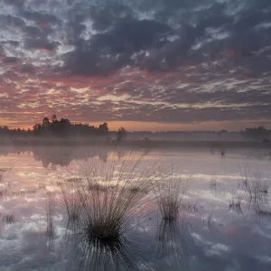 Sunrise over Klein Schietveld, Brasschaat, Belgium. May