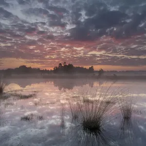 Sunrise over Klein Schietveld Print, Brasschaat Landscape Sunrise over Klein Schietveld Print, Brasschaat Landscape