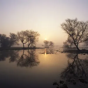 Sunrise over lake, Keoladeo Ghana / Bharatpur NP, Rajasthan, India Sunrise over lake, Keoladeo Ghana / Bharatpur NP, Rajasthan, India