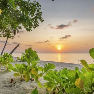 Sunset over the ocean viewed from beach, Dhigurah Island, South Ari Atoll, Maldives, Indian Ocean. February, 2020 Sunset over the ocean viewed from beach, Dhigurah Island, South Ari Atoll, Maldives, Indian Ocean. February, 2020