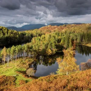 Tarn Hows am späten Abendlicht im Herbst nahe Coniston im Nationalpark der Lake District in Cumbria (UK), Oktober 2016. Tarn Hows am späten Abendlicht im Herbst nahe Coniston im Nationalpark der Lake District in Cumbria (UK), Oktober 2016.