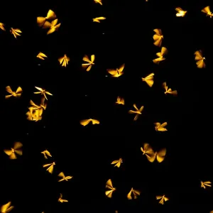 Termites (Isoptera) flying upwards towards a street lamp, India Termites (Isoptera) flying upwards towards a street lamp, India