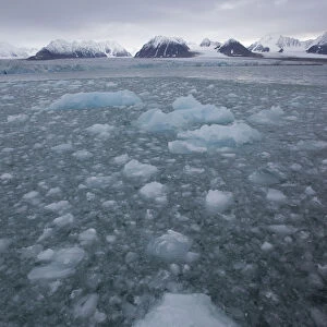 Thawing ice floes on the sea, Svalbard, Norway, September 2009