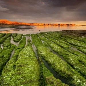 Tide going out, Peninsula Valdes, Unesco World Heritage Site, Chubut Province, Patagonia, Argentina, August 2022 Tide going out, Peninsula Valdes, Unesco World Heritage Site, Chubut Province, Patagonia, Argentina, August 2022
