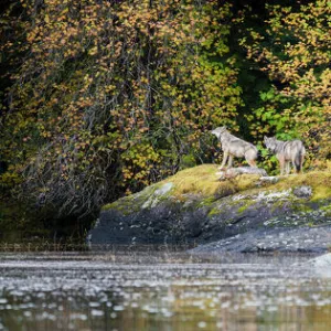 Images Dated 2013: October