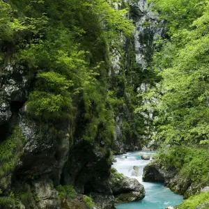 Tolminka River Print, Tolminska korita, Triglav National Park Tolminka River Print, Tolminska korita, Triglav National Park