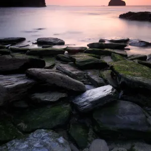 Trebarwith strand at sunset, Cornwall, UK. September 2008