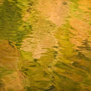 Tree colours reflected on the Galovac water surface, Upper Lakes, Plitvice Lakes NP