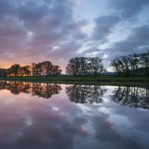 Trees and clouds reflected in River Spey at dawn, Cairngorms National Park, Scotland