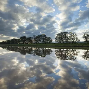 Trees and clouds reflected in River Spey at dawn, Cairngorms National Park, Scotland