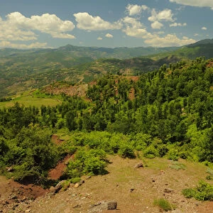 Typical landscape in Shebeniku-Jabllanica National Park, Albania, June 2009