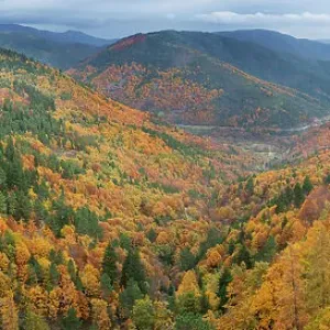 Valley with autumnal forest in the Estrela Mountain Range, Portugal, November 2014 Valley with autumnal forest in the Estrela Mountain Range, Portugal, November 2014