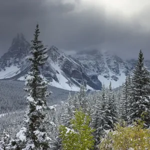 The Valley of the Ten Peaks, after recent snowfall, Banff National Park, Alberta, Canada The Valley of the Ten Peaks, after recent snowfall, Banff National Park, Alberta, Canada