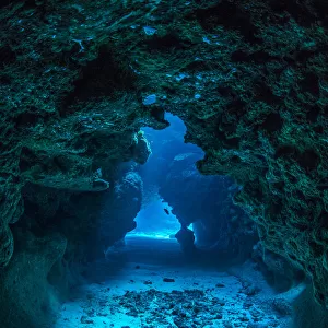 View through a cavern in a coral reef, with a Small grouper (Cephalopholis cruentata