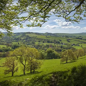 View from edge of woodlands near Pott Shrigley, Peak District National Park, Cheshire, UK