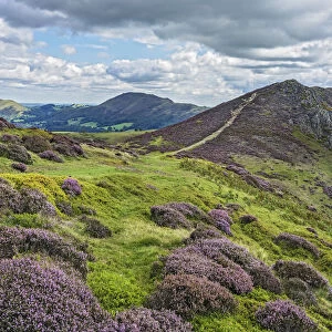 View from Long Mynd with Bodbury Hill in the foreground and Caer Caradoc Hill