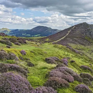View from Long Mynd Print, Shropshire Landscape