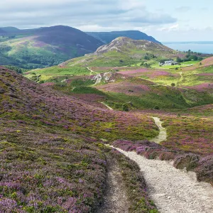 View looking west from the summit of Conwy Mountain, with Alltwen Mountain above the farm