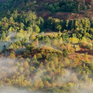 View from Loughrigg, with autumn colour and morning mist, near Grasmere, The Lake District, Cumbria, UK. October 2012 View from Loughrigg, with autumn colour and morning mist, near Grasmere, The Lake District, Cumbria, UK. October 2012