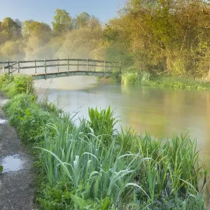 View of the River Itchen Print, Ovington at Dawn